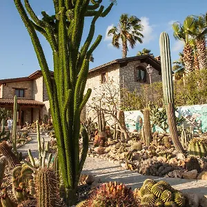 Garden Cactus Villaggio Mose (Sicily)