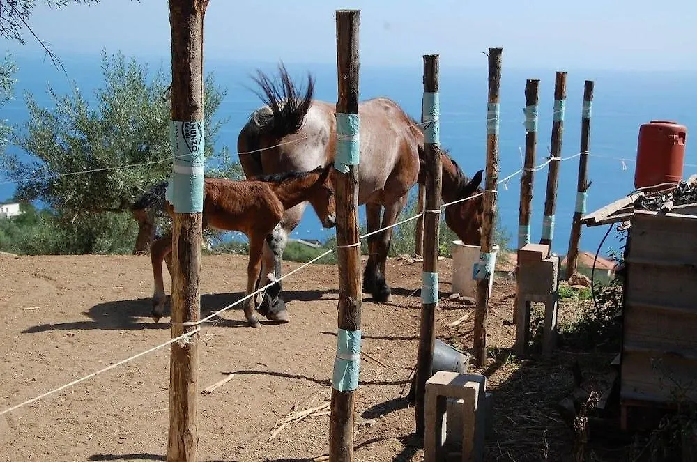 Lantgård Agriturismo Santa Margherita Gioiosa Marea